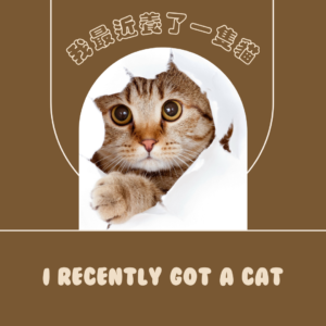 我最近養了一隻貓 I Recently Got a Cat