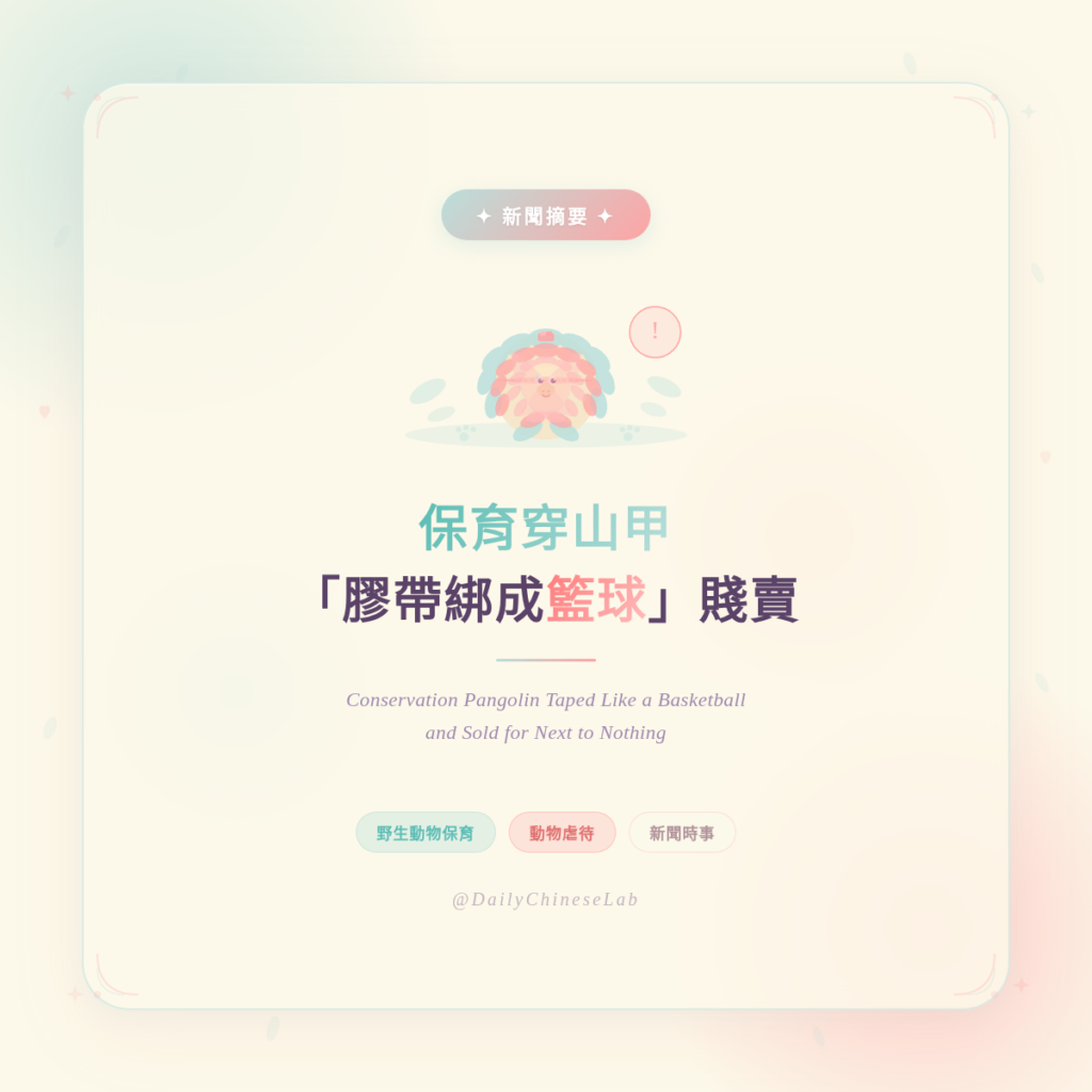 保育類穿山甲被「膠帶綁成籃球」販賣 (Conservation Pangolin Taped Like a Basketball and Sold)